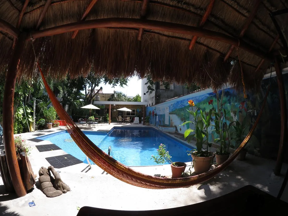 Casa Tucan Hotel 신데 델 카르멘